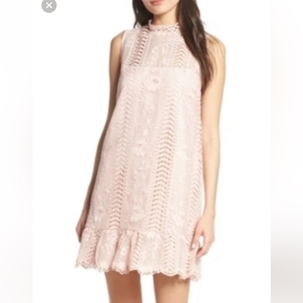 BB Dakota Sheri Pink Lace Sleeveless Dress NWT Medium - Picture 2 of 7